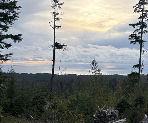 0 Michigan Main Rd, Bamfield, BC, V0R1B0 | Card Image