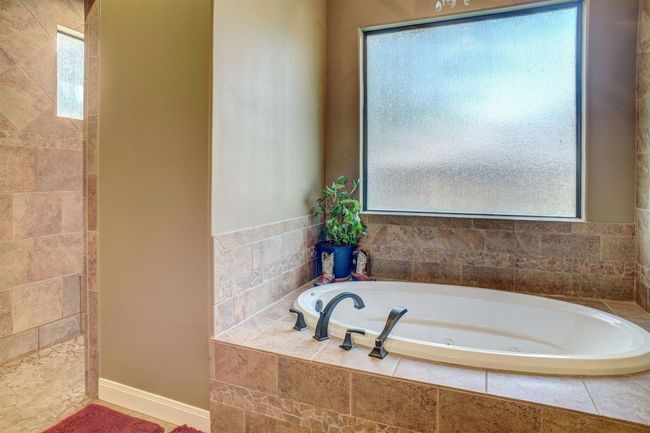 Primary Tub | Image 16