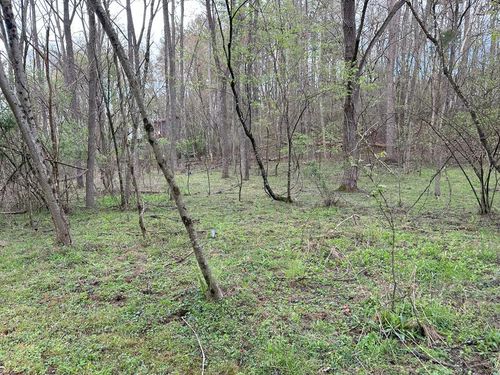 Lot 4 Foggy Bottom Trl, Murphy, NC, 28906-9109 | Card Image