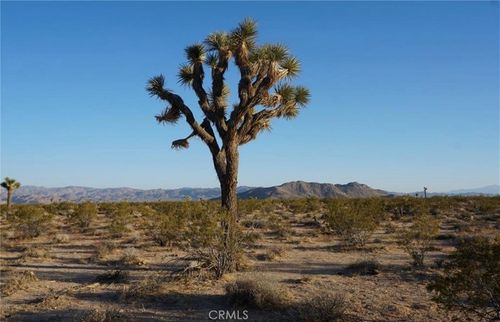 2172 Conejo Ave, Joshua Tree, CA, 92252 | Card Image