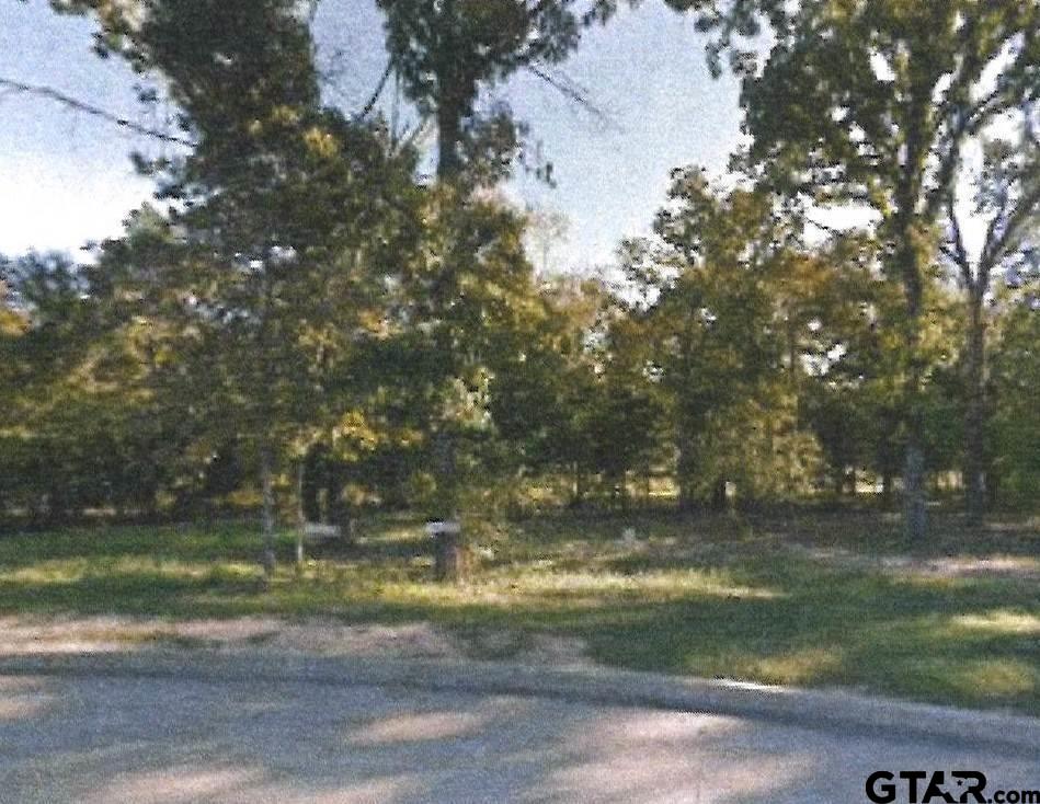 Land in Tyler 2