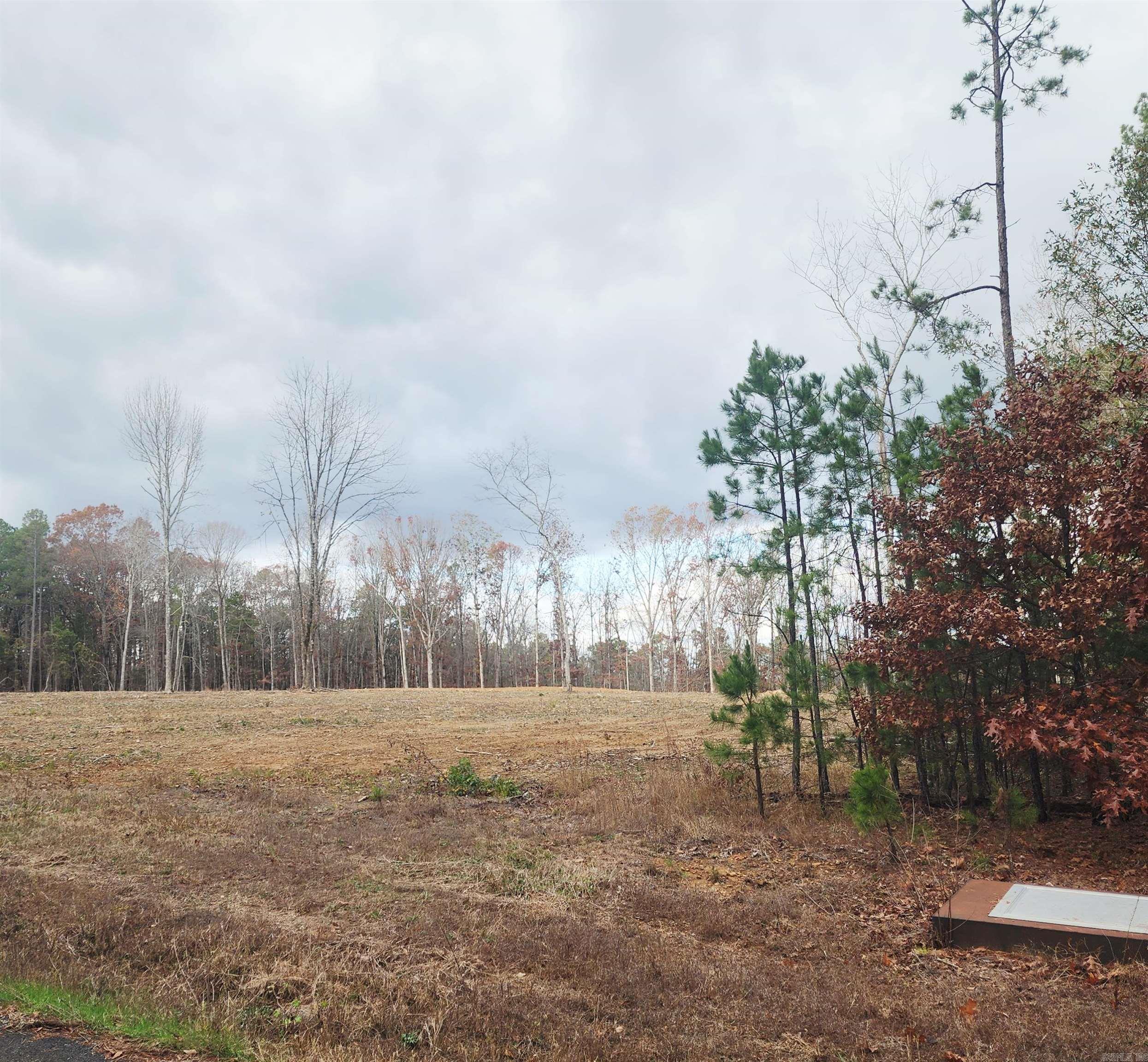 Land in Edgemont 4