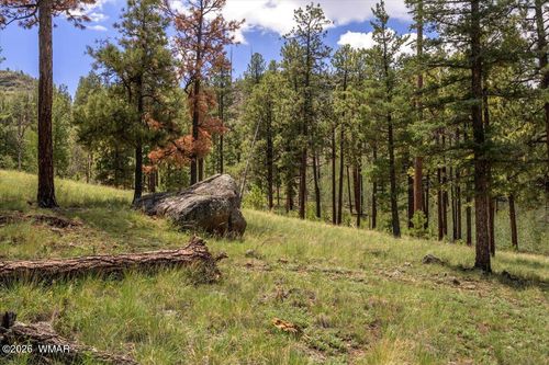 14 County Rd N1062, Greer, AZ, 85927 | Card Image