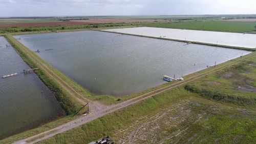 7979 6th St, Raymondville, TX, 78580-4813 | Card Image