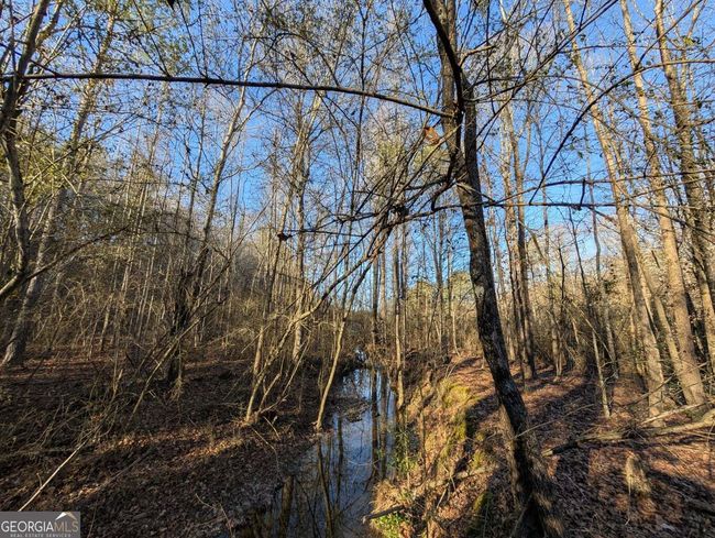 0 Ridgeway Rd, Home with 0 bedrooms, 0 bathrooms and null parking in Trion GA | Image 18