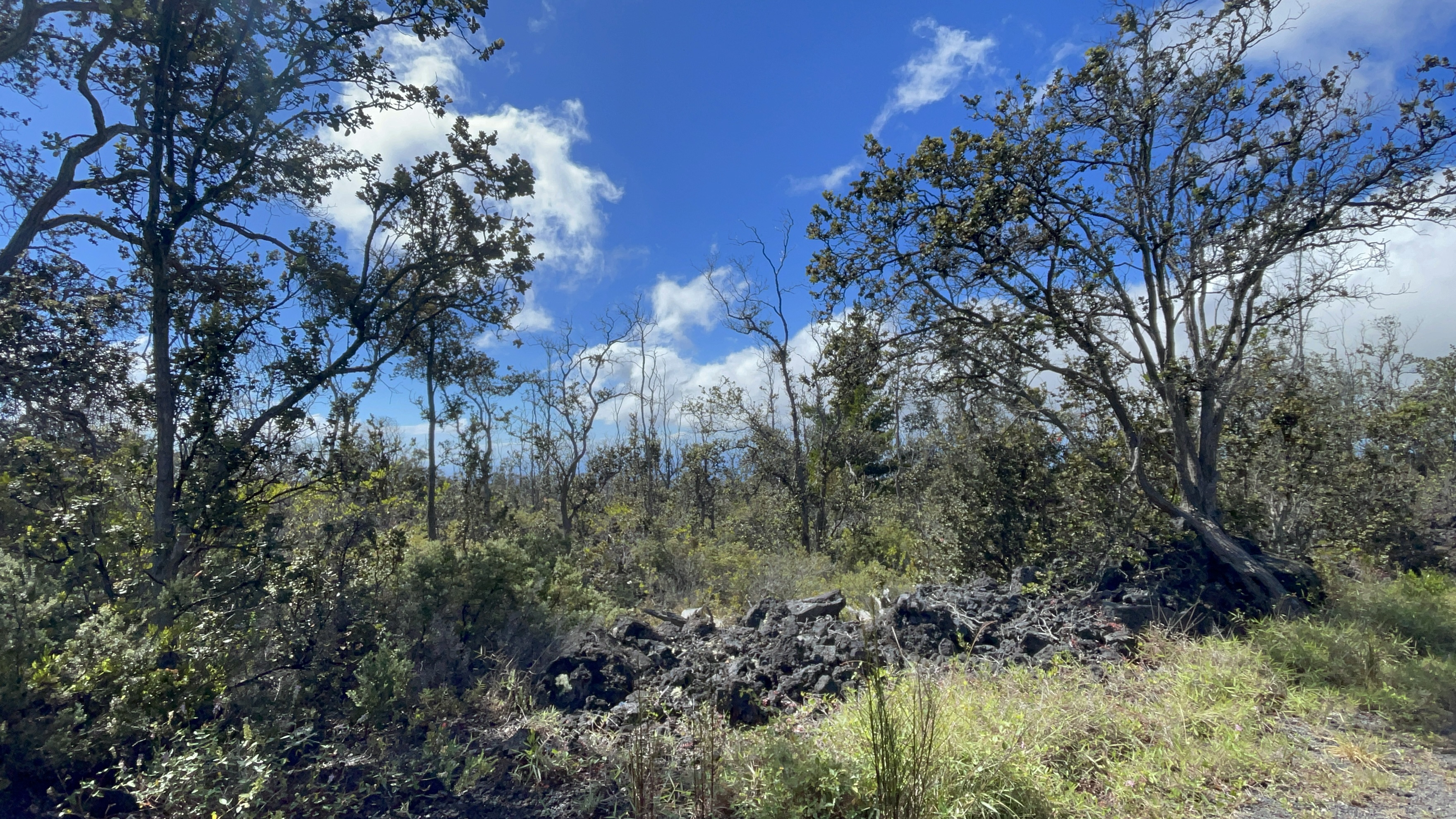 Land in Ocean View 4