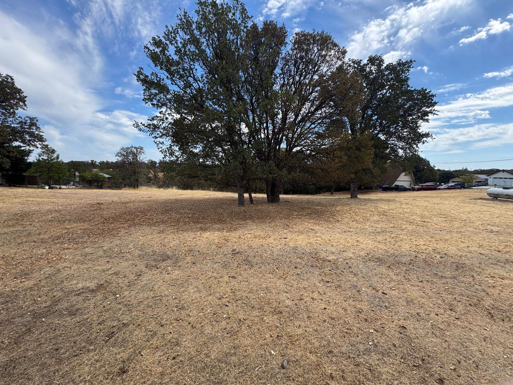 Land in Cottonwood 2