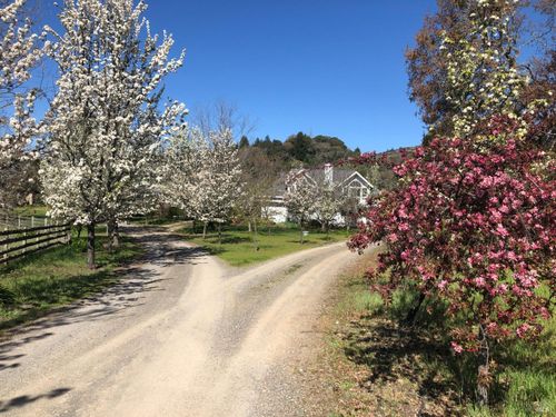 25400 Hulbert Rd, Yorkville, CA, 95494 | Card Image