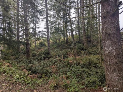 161 E Hemlock Ln, Union, WA, 98592-9438 | Card Image