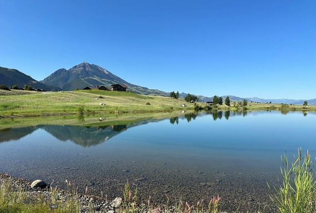 fishing pond in summer | Image 83