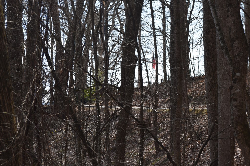 Land in Waynesville 2