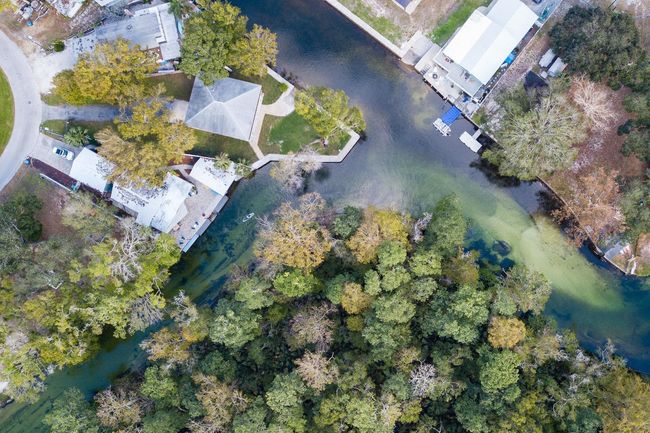 6194 Bear Trl, House other with 4 bedrooms, 4 bathrooms and null parking in WEEKI WACHEE FL | Image 60