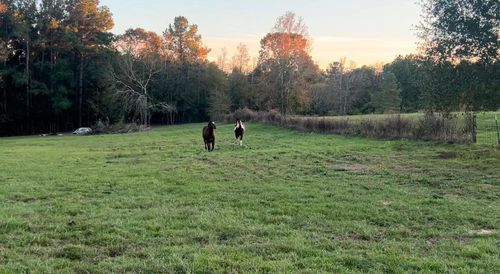 9953 Chestnut Ct, Montgomery, TX, 77316-9306 | Card Image