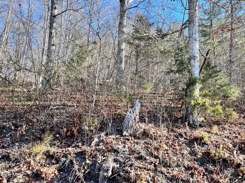 7 Bundren Mountain Rd, Tazewell, TN, 37879 | Card Image