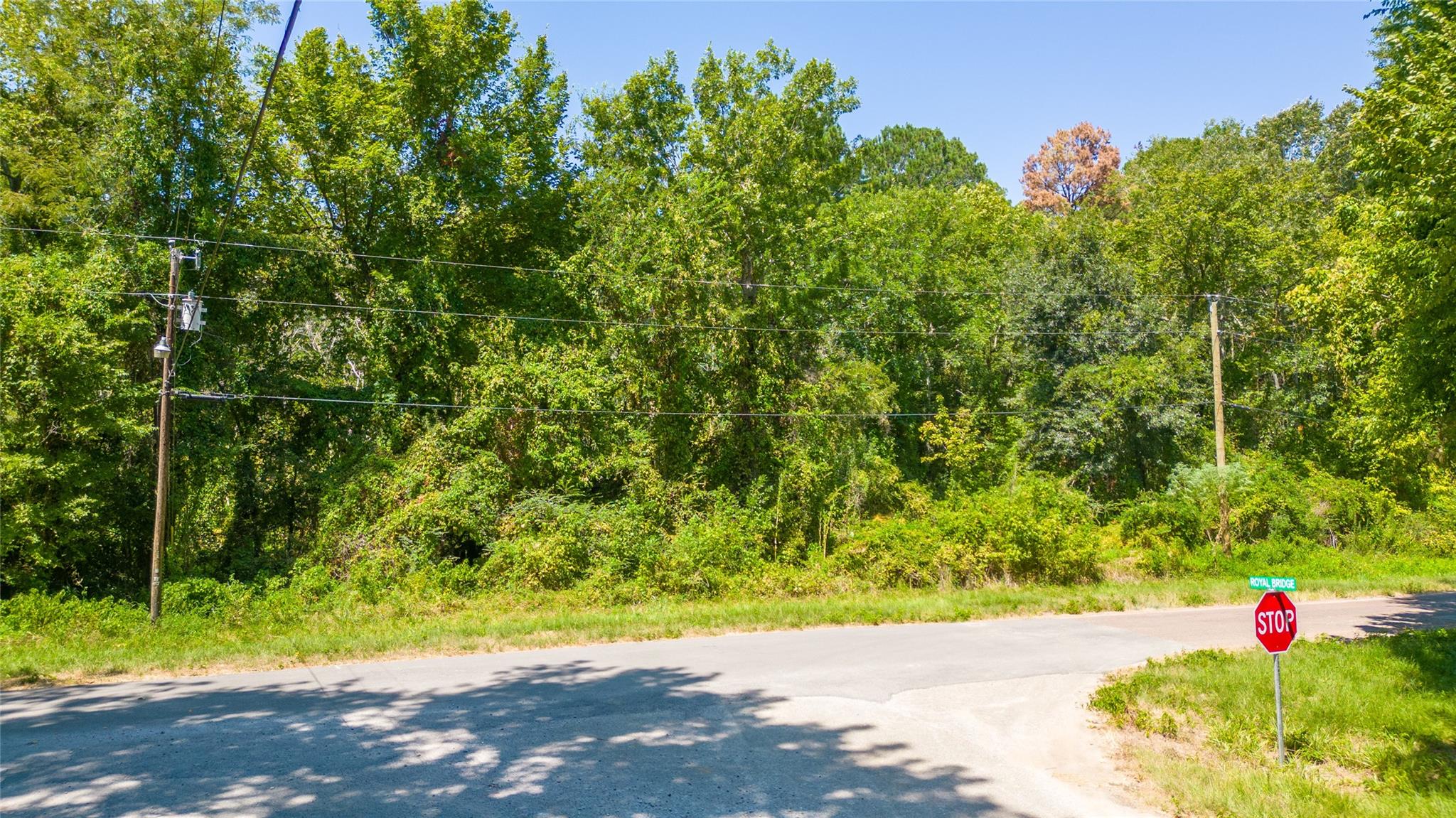 Land in Conroe 4