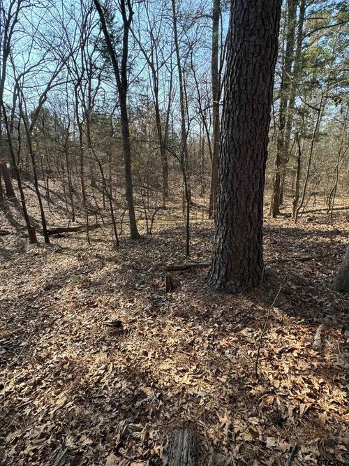 Lots 274, 280 Wichita, Mt Vernon, TX, 75457 | Card Image