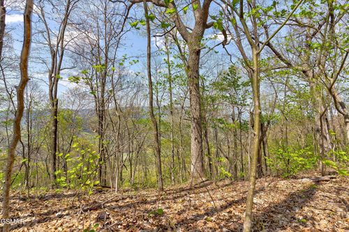 Lot 125E Settlers View Ln, Sevierville, TN, 37862 | Card Image