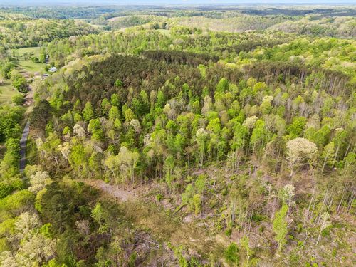 2 Pleasant Ridge Rd, Goodspring, TN, 38460 | Card Image