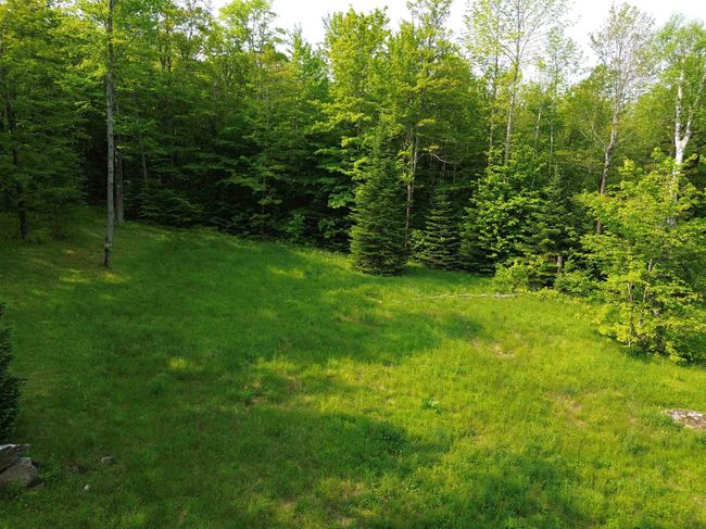 48 Alberts Ln, Home with 0 bedrooms, 0 bathrooms and null parking in Warren VT | Image 12
