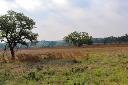 10-277 Apache Trce Nw, Harper, TX, 78631 | Card Image