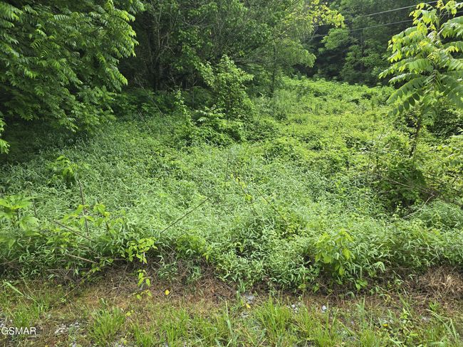 8 Mccarter Hollow Rd, Home with 0 bedrooms, 0 bathrooms and null parking in Sevierville TN | Image 12