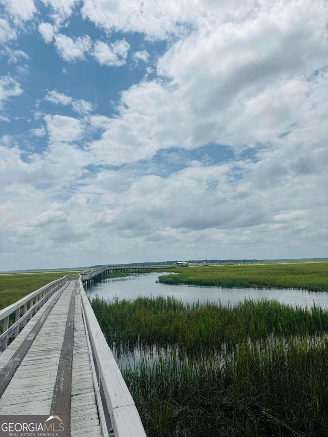 LOT 557 Woodstork Ln, Home with 0 bedrooms, 0 bathrooms and null parking in Townsend GA | Image 9