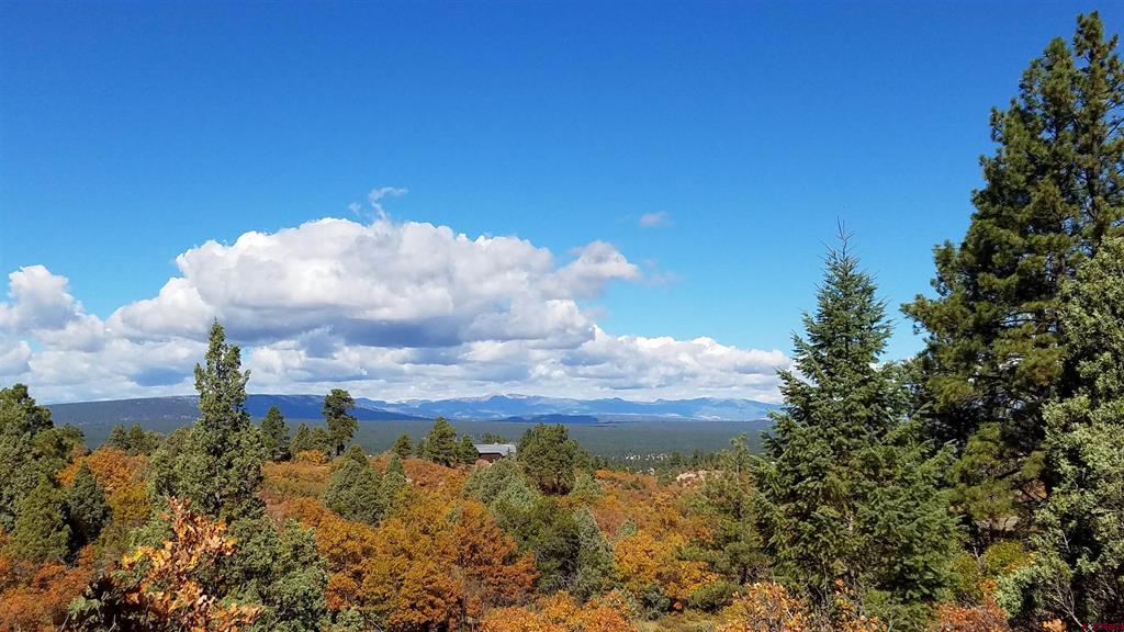 195 Cameron Place, For Sale in Pagosa Springs - Zoocasa