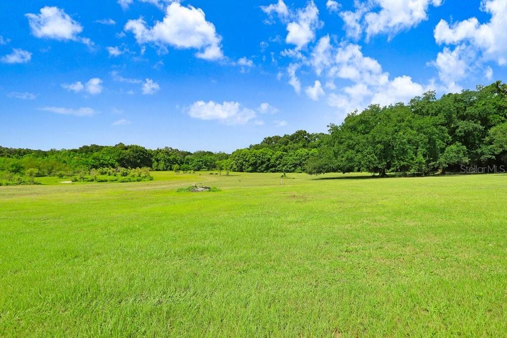 Land in DADE CITY 5