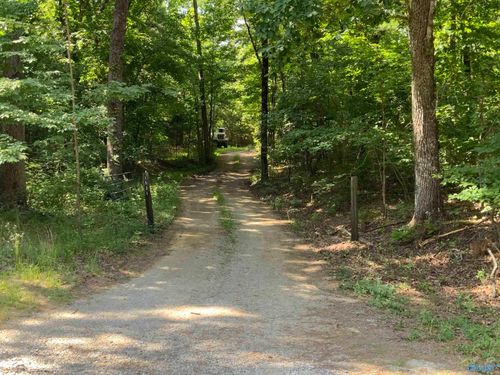 15 Acres County Road 216, Woodville, AL, 35776 | Card Image