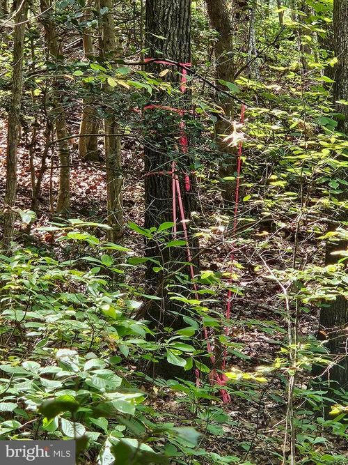 00 Off Of Long Branch Road, WOODFORD, VA, 22580 | Card Image