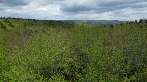 Map 8 Lot 29 Martin Road, Washington, NH, 03280 | Card Image