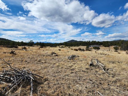 117 Pinon Ln, Cotopaxi, CO, 81223-9430 | Card Image