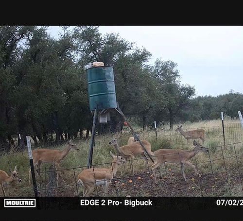 129 Big Buck Run Road, Menard, TX, 76859 | Card Image
