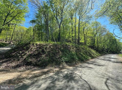 Lot 45 Timber Lane, BLUEMONT, VA, 20135 | Card Image