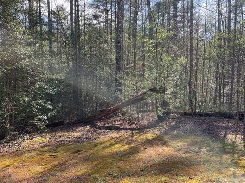 Lot 89 Spectacular Blvd, Hayesville, NC, 28904-1624 | Card Image