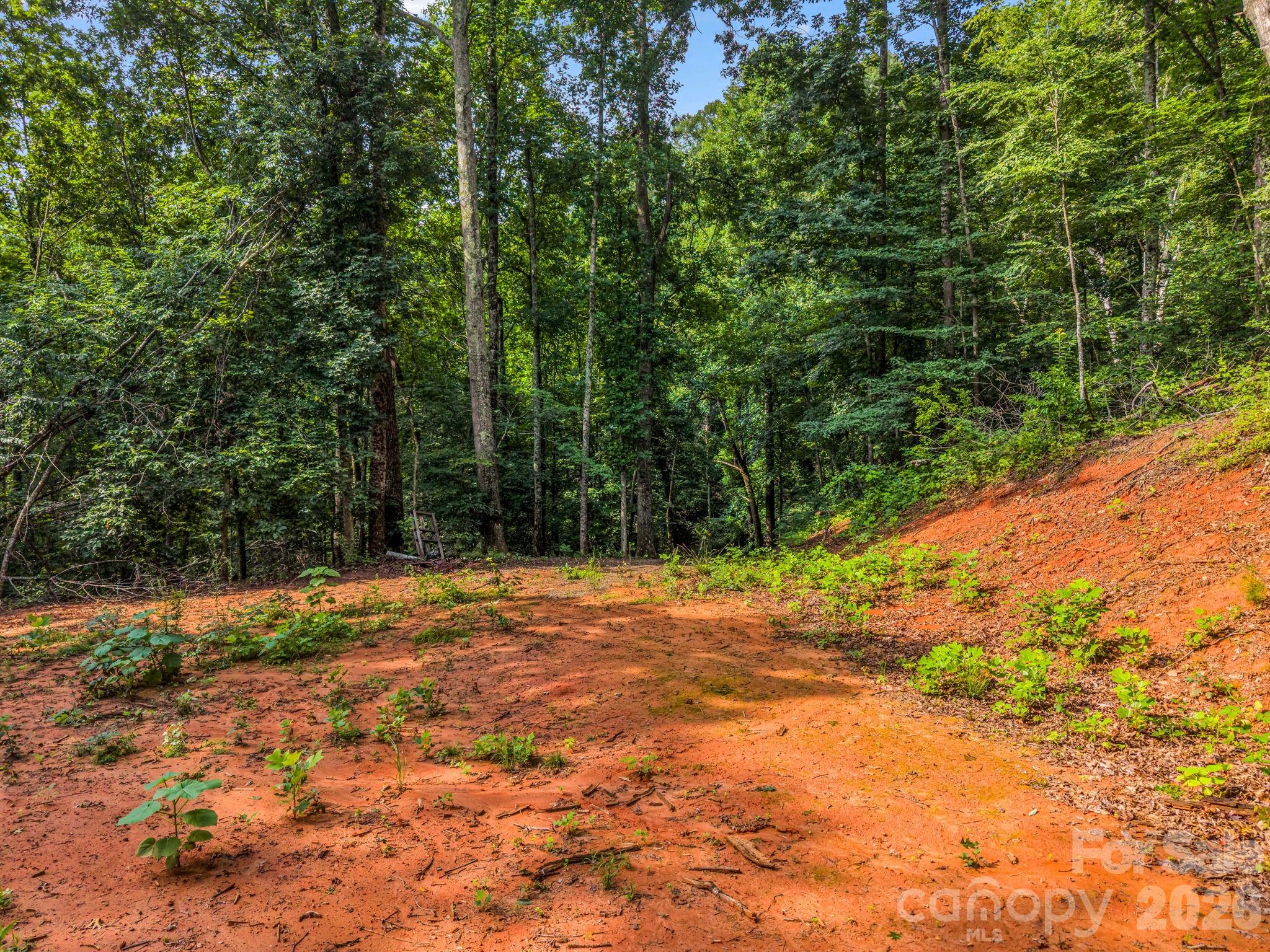 Land in Swannanoa 2