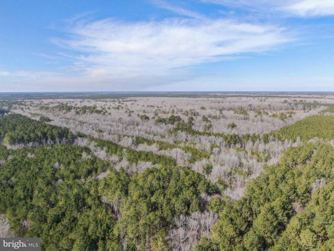 0 Follow Ditch Rd, Home with 0 bedrooms, 0 bathrooms and null parking in PRINCESS ANNE MD | Image 18