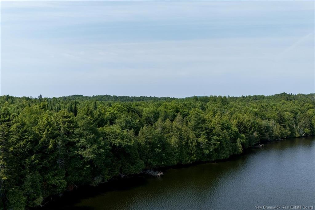 Land in Upper Skiff Lake 5