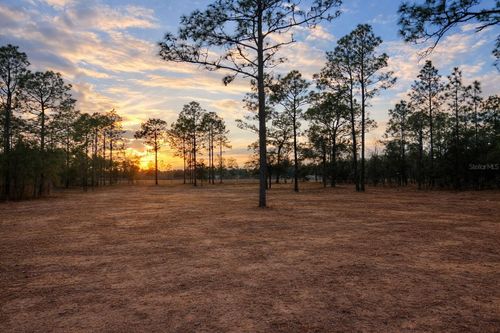 6 Sw Lombardy Ln, Dunnellon, FL, 34431-2353 | Card Image