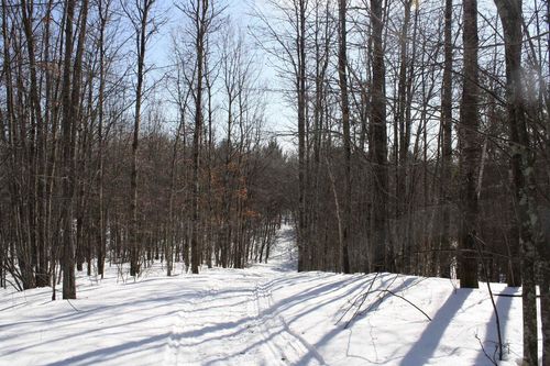 On W Rapids Road Road, Lake Tomahawk, WI, 54539 | Card Image