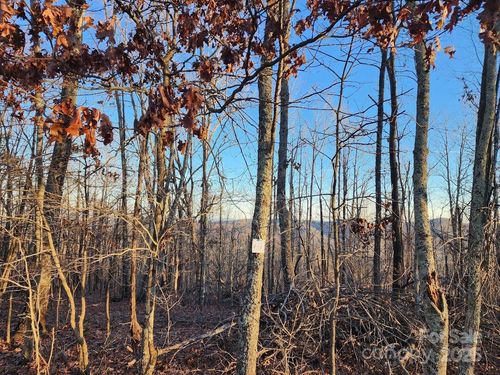 69 Adirondack Ln, Bostic, NC, 28018 | Card Image