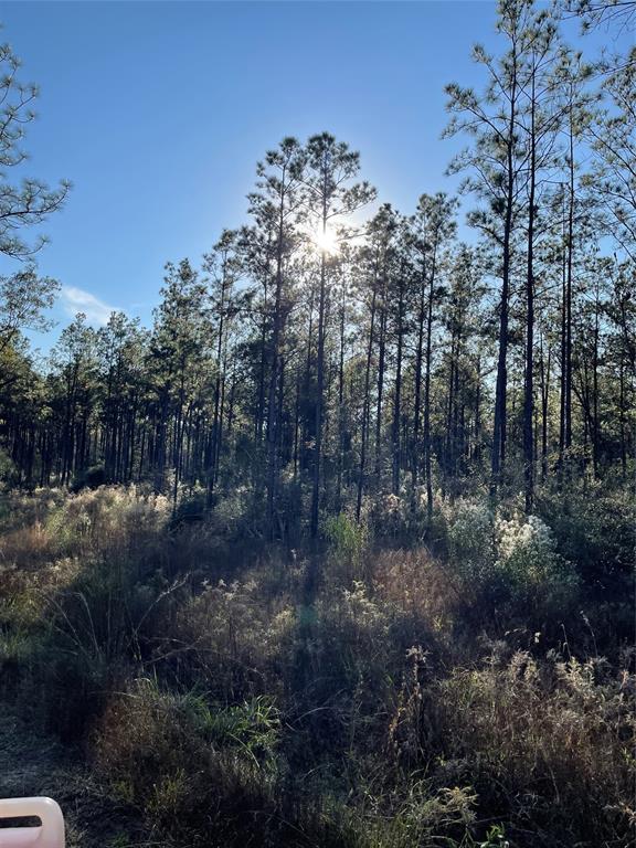 1432 Fm 1745 S, For Sale in Chester Zoocasa