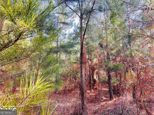 0 County Road 36, Home with 0 bedrooms, 0 bathrooms and null parking in Eufaula AL | Image 17