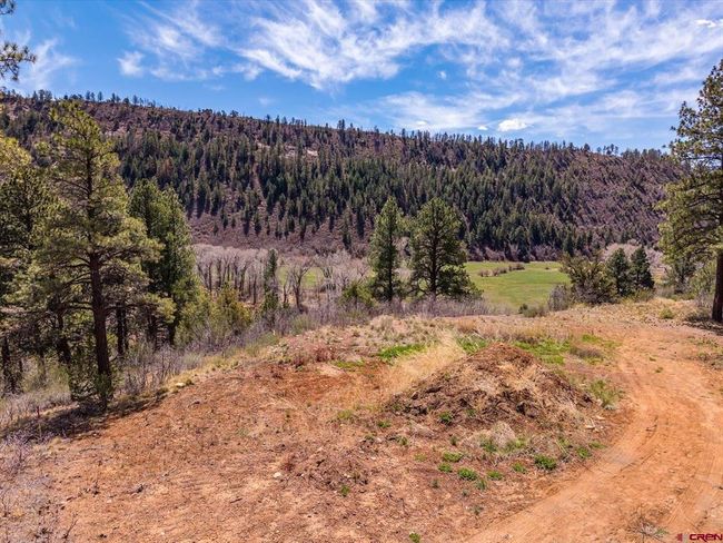 77 Culebra Cir, Home with 0 bedrooms, 0 bathrooms and null parking in Durango CO | Image 23