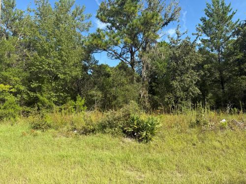 Tbd 79th Terrace Road, Dunnellon, FL, 34432 | Card Image