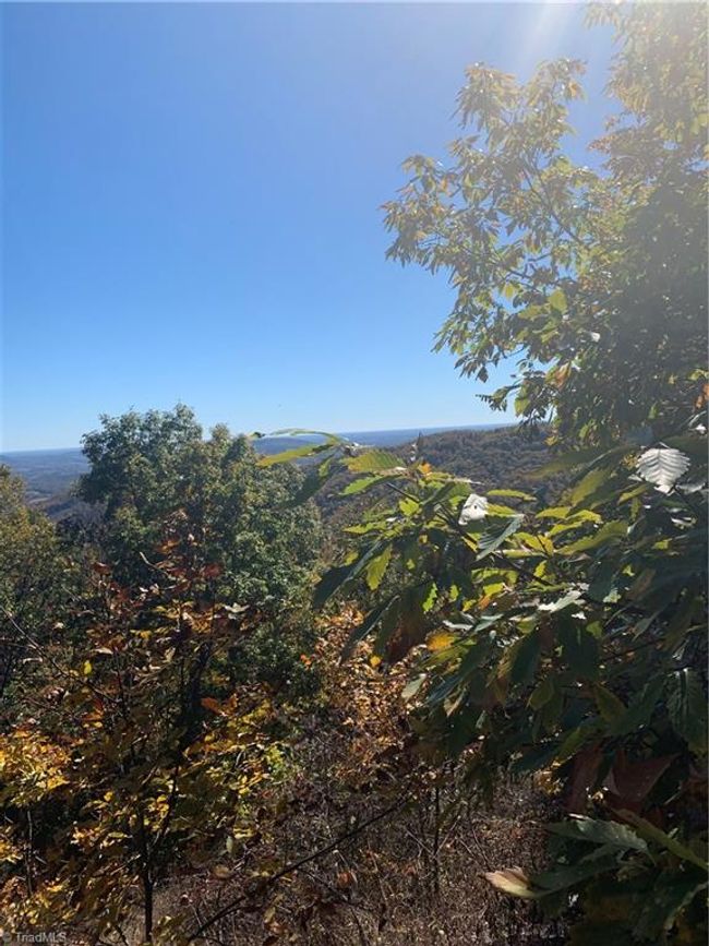 Lot 9 Falcon Ridge Dr, Home with 0 bedrooms, 0 bathrooms and null parking in Moravian Falls NC | Image 10