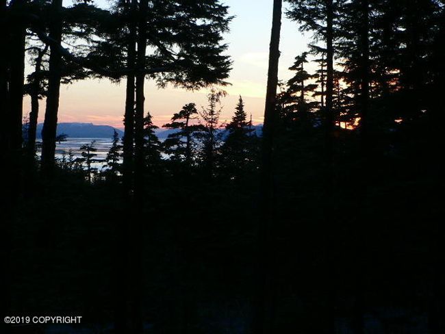 P1090950 | Image 10