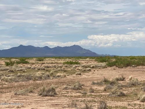 TBD Tbd, Columbus, NM, 88029 | Card Image