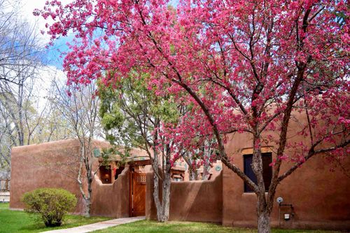 cottonwood-4-226 Kit Carson Rd, Taos, NM, 87571 | Card Image