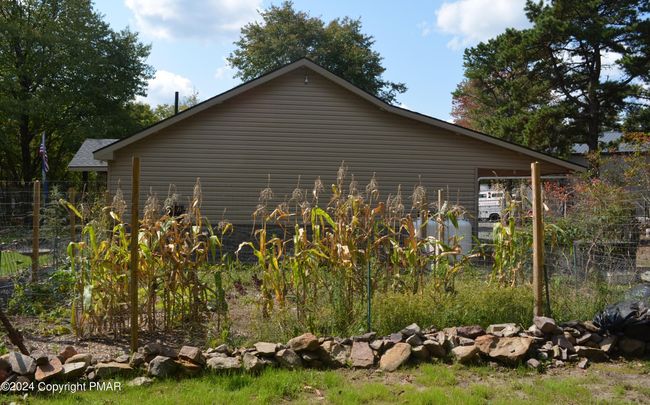 Fenced Garden | Image 29